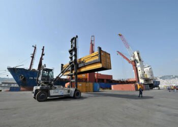 The full story of the depletion of “Al-Duffies” under the guise of export! – Al-Shorouk Online