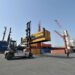 The full story of the depletion of “Al-Duffies” under the guise of export! – Al-Shorouk Online