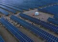 They built the world’s largest solar power plant in the desert: A few years later they had to bring 20,000 sheep – Life