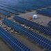 They built the world’s largest solar power plant in the desert: A few years later they had to bring 20,000 sheep – Life
