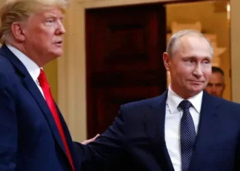 No plans for a call between Putin and Trump – the Kremlin