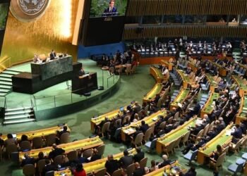 Australia responsible for offshore detainees: UN report | The North West Star