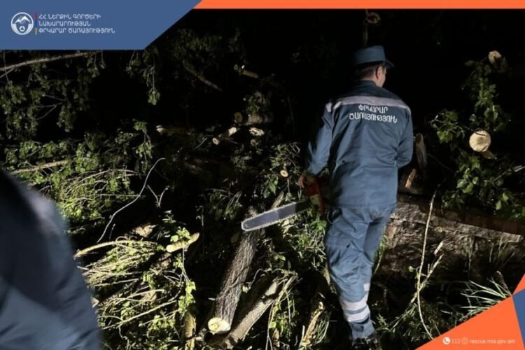 As a result of the wind, electric poles were bent, roofs were damaged, and trees fell