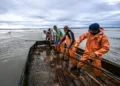Due to the industrial crisis, French fishermen gathered in Cherbourg