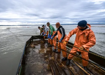 Due to the industrial crisis, French fishermen gathered in Cherbourg
