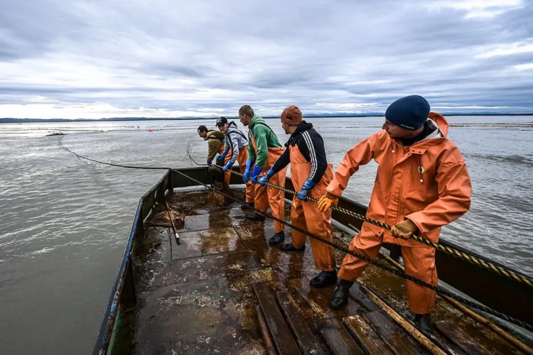 Due to the industrial crisis, French fishermen gathered in Cherbourg
