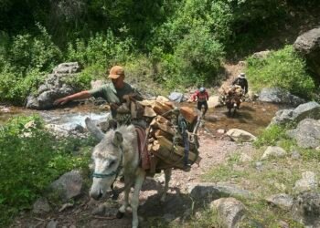 Salom alaikum, Tajikistan! Event announcements, day in history, weather forecast for June 16, 2026