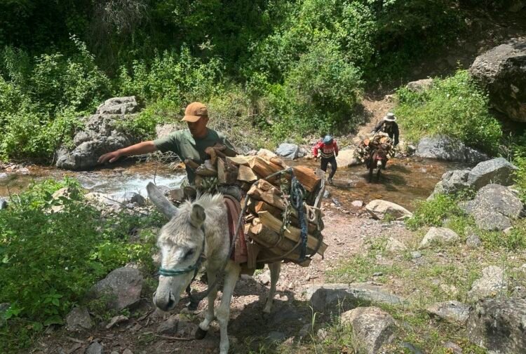 Salom alaikum, Tajikistan! Event announcements, day in history, weather forecast for June 16, 2026