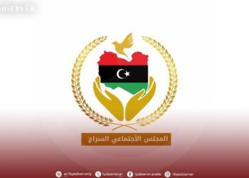 Al-Sarraj Social Council calls on shop owners not to provide services or medications to refugee card holders