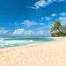 The island, only 17 minutes away from the city, is up for sale: It produces its own energy entirely