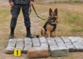 Stashes with more than 32 kg of hashish discovered in Penjikent