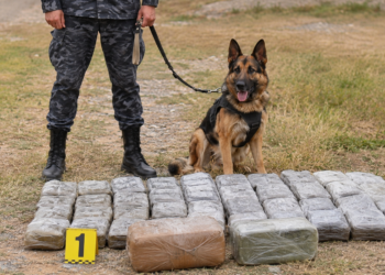 Stashes with more than 32 kg of hashish discovered in Penjikent