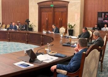 Tajikistan proposed creating an SCO energy platform