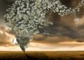 A trillion dollars: A fortune that is difficult to both imagine and spend