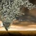 A trillion dollars: A fortune that is difficult to both imagine and spend