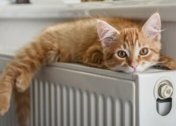 Set a specific start and end date for the heating season: find out when | Business