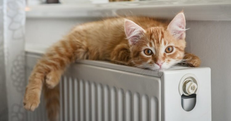 Set a specific start and end date for the heating season: find out when | Business
