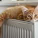 Set a specific start and end date for the heating season: find out when | Business