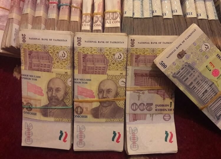 In Tajikistan, employees of the Institute of Botany were suspected of embezzling over a million somoni