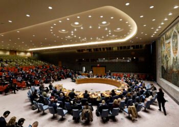 Austria again in the UN Security Council