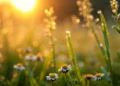The hottest season has arrived: Today is the first day of summer and the longest day of the year