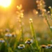 The hottest season has arrived: Today is the first day of summer and the longest day of the year
