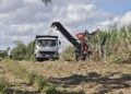 FCCC approves higher cane harvesting and cartage rates amid fuel price surge
