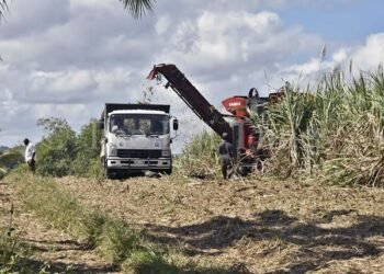 FCCC approves higher cane harvesting and cartage rates amid fuel price surge