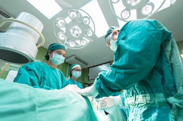 Hungarian Expert Elected Chair of Eurotransplant Advisory Committee