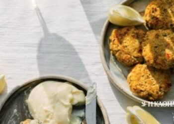 Fish patties, spicy | THE DAILY