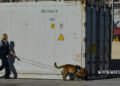 Europol: The “multinationals of crime” and the Greek ports
