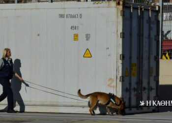 Europol: The “multinationals of crime” and the Greek ports