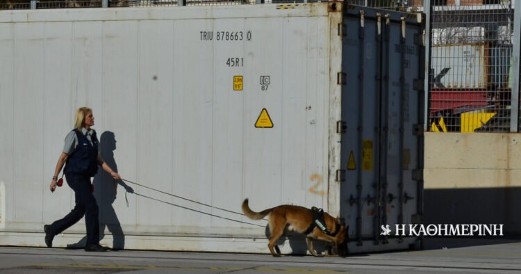Europol: The “multinationals of crime” and the Greek ports
