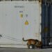 Europol: The “multinationals of crime” and the Greek ports