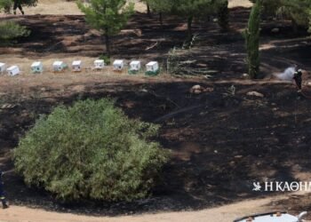 A 45-year-old beekeeper was arrested for the fire in Alsos Veikou