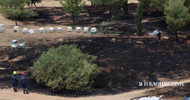 A 45-year-old beekeeper was arrested for the fire in Alsos Veikou