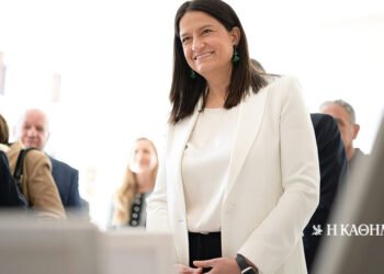 Niki Kerameos: Professional insurance for every employee