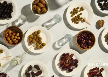 Knowing up close the secrets of the olive tree