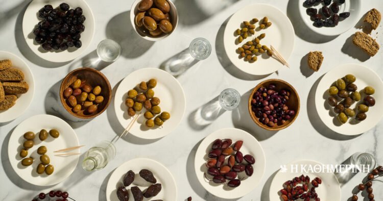 Knowing up close the secrets of the olive tree