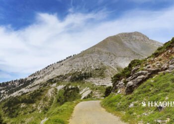 We climbed to the top of Mount Dirfys, in Evia