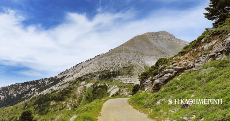 We climbed to the top of Mount Dirfys, in Evia