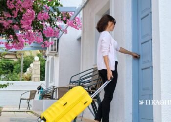 Airbnb’s territory | THE DAILY