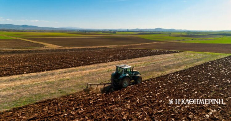 OPEKEPE: Guilty of 57 producers from Crete for illegal subsidies