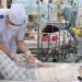 Vietnam reports over 50,000 dengue cases in 5 months as outbreak patterns shift