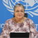 UN envoy warns of disinformation campaign, reports political progress and exposes corruption concerns
