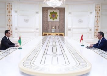 Turkmen president receives Turkish vice president