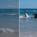 Tragedy in Brazil: a 41-year-old Uruguayan tourist drowned on the beach of Arraial do Cabo