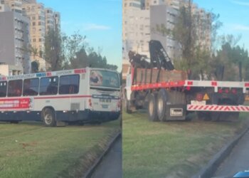 A bus and a truck crossed the Avenida Italia flowerbed after a tree fell and the video went viral on social networks.