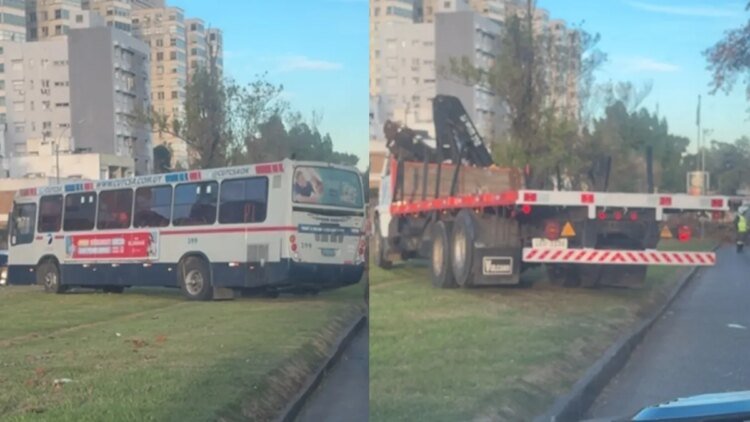 A bus and a truck crossed the Avenida Italia flowerbed after a tree fell and the video went viral on social networks.