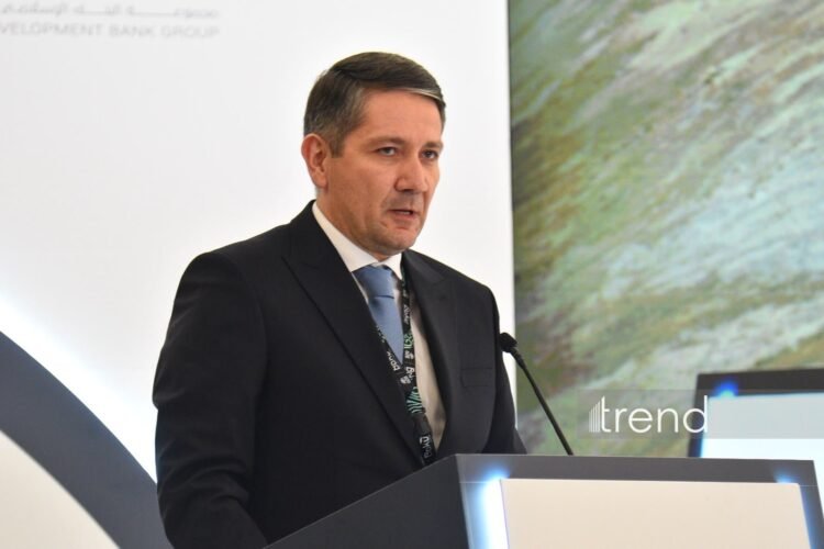 Azerbaijan expects early introduction of new Islamic finance projects – deputy minister